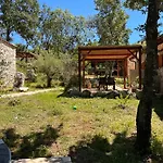 Paradiso Istriano - Mediterraneo And Olive
