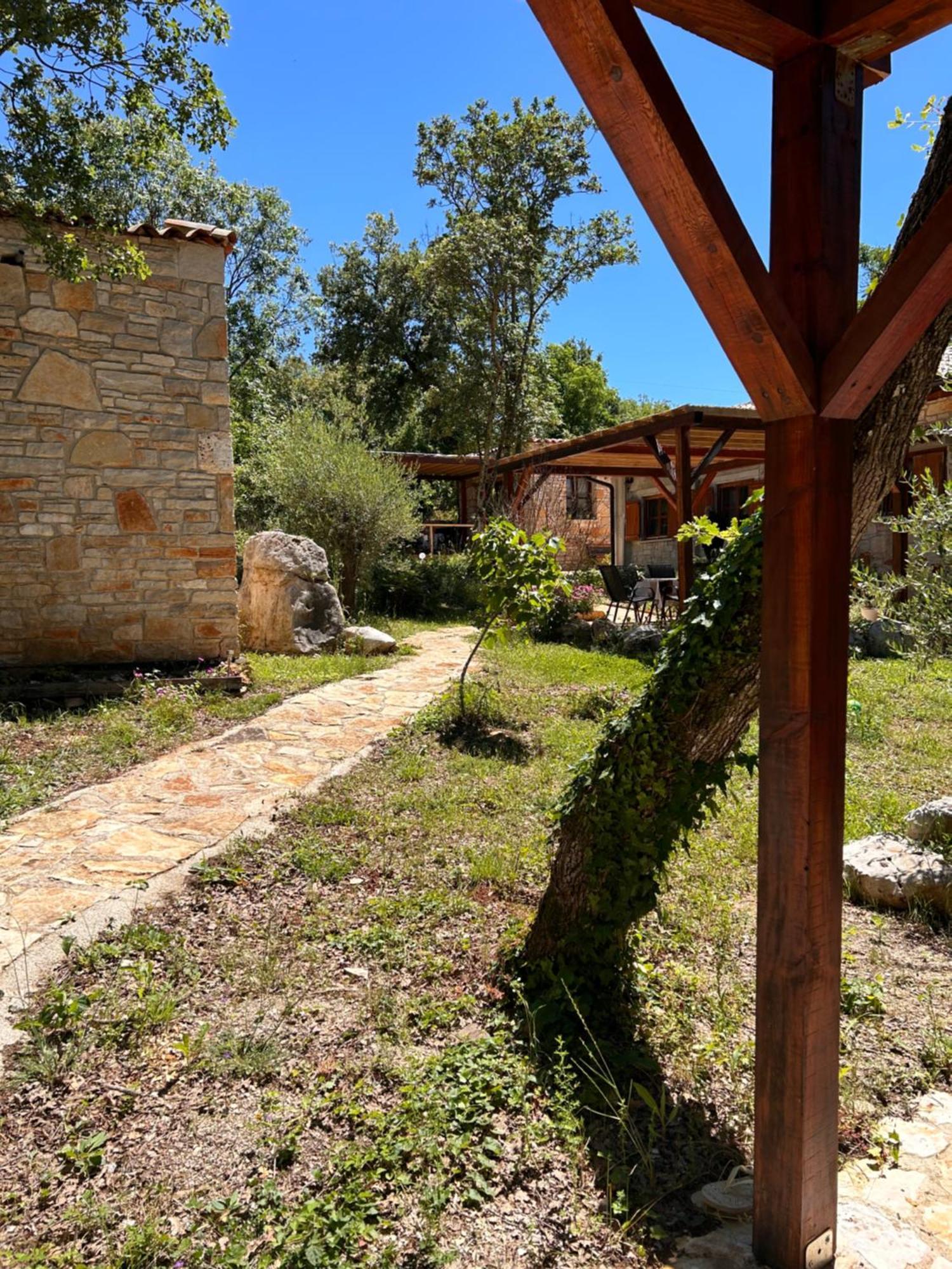 Paradiso Istriano - Mediterraneo And Olive Apartment